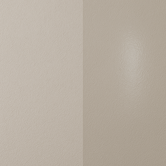 رنگ مات یا براق دیوار